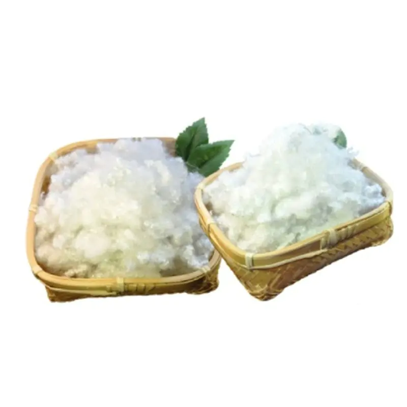 Bisakah Serat Poliester Didaur Ulang Dan Bagaimana Cara Kerjanya